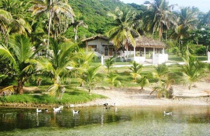 La Mami River Beach - Caribbean House