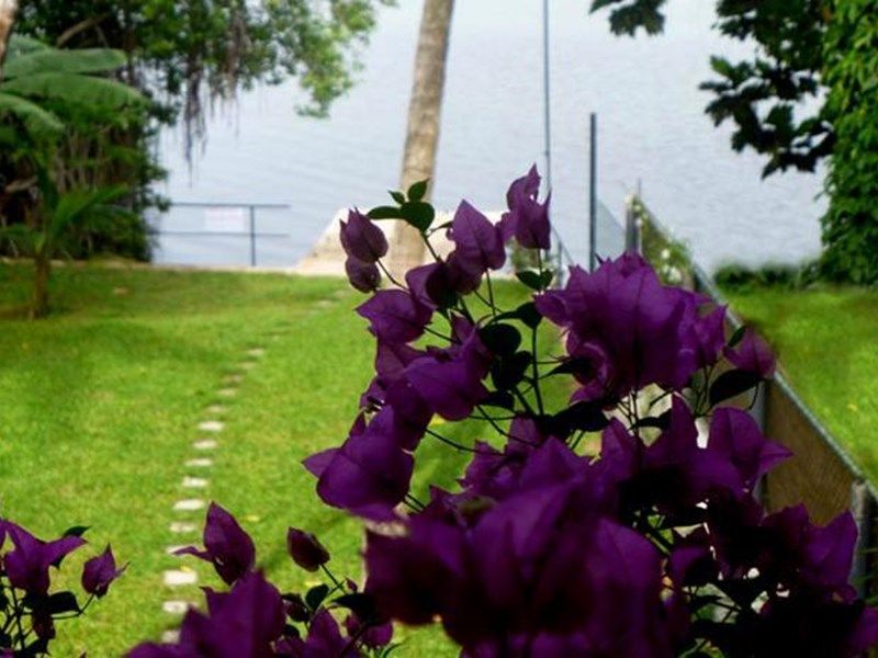 Outdoor Pictures 1