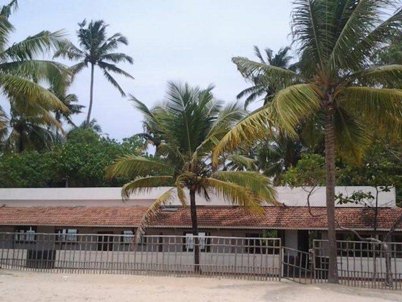 Outdoor Pictures 1