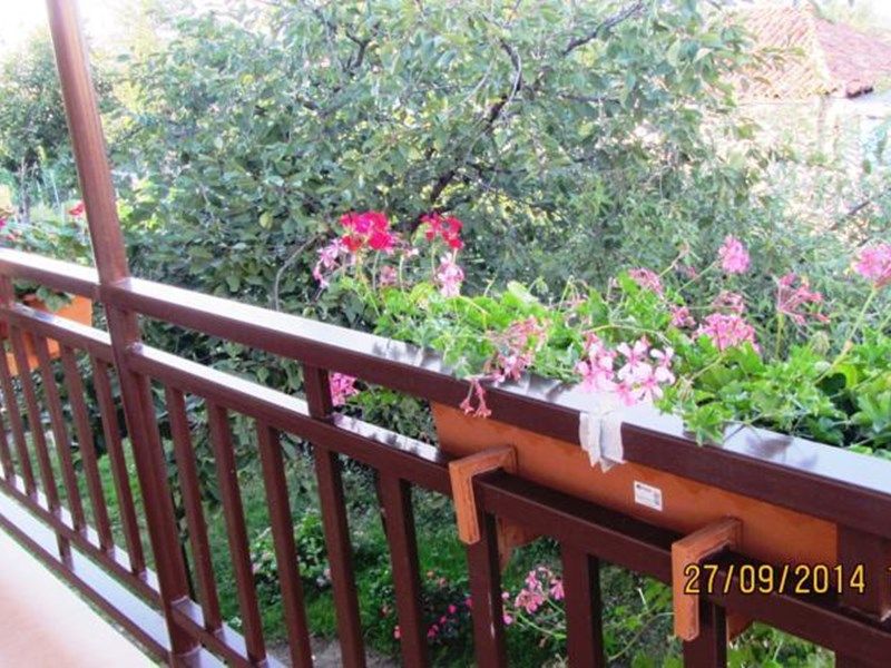 Outdoor Pictures 2