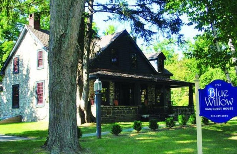 Blue Willow Guesthouse