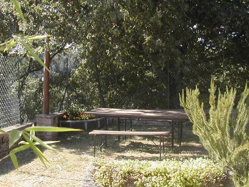 Outdoor Pictures 1