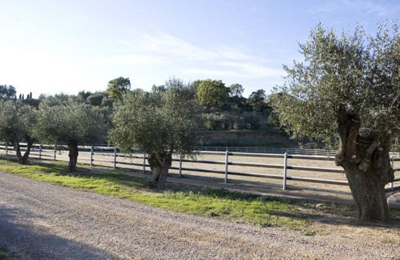 Villa Pernice