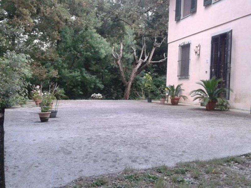 Outdoor Pictures 1