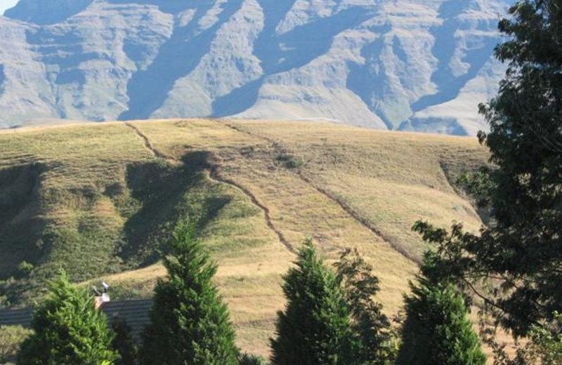 Drakensberg House