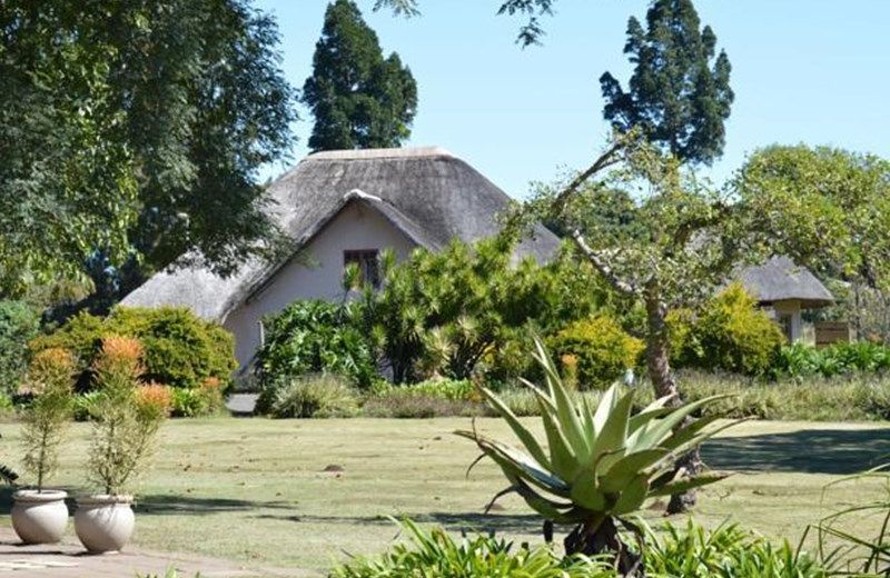 Aloe Guest Lodge