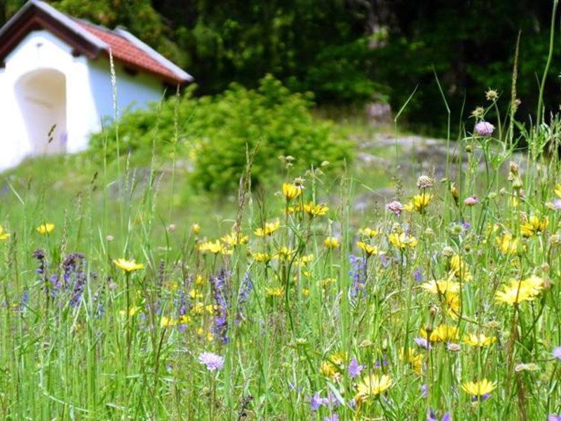 Outdoor Pictures 10