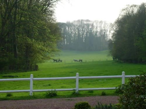 Outdoor Pictures 18