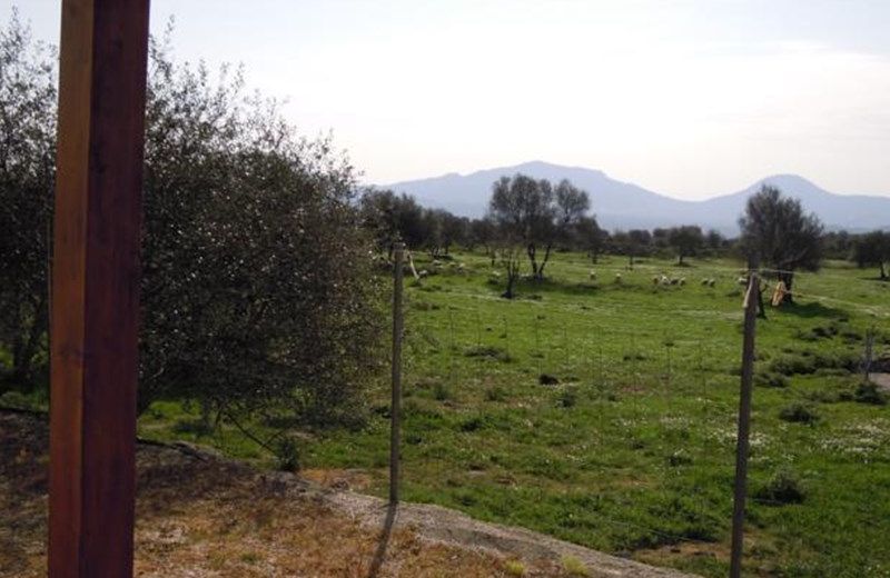 Bed & Breakfast Pira pinta