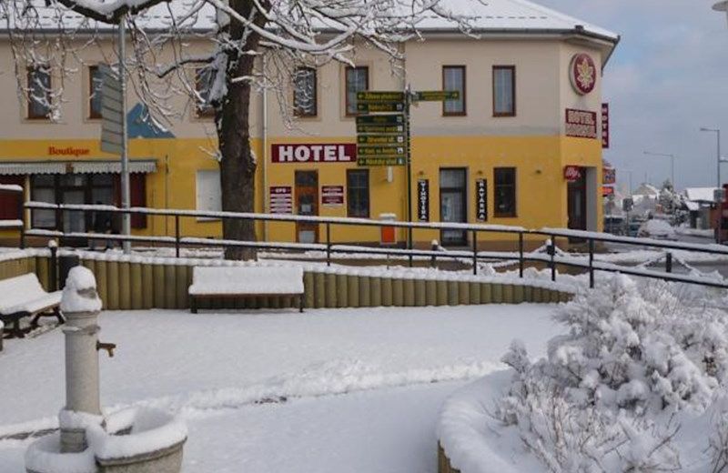 Hotel Konsul