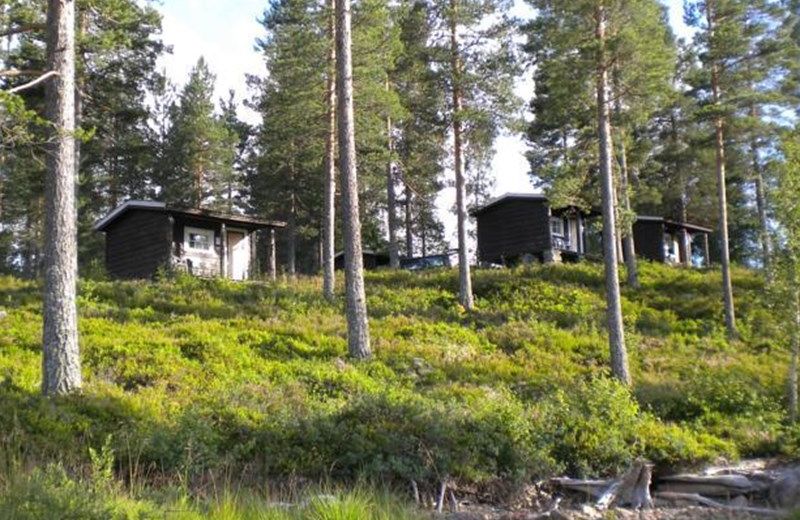 Telemark Camping