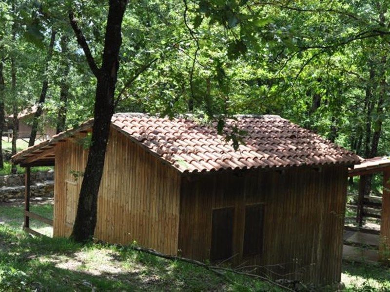 Outdoor Pictures 1
