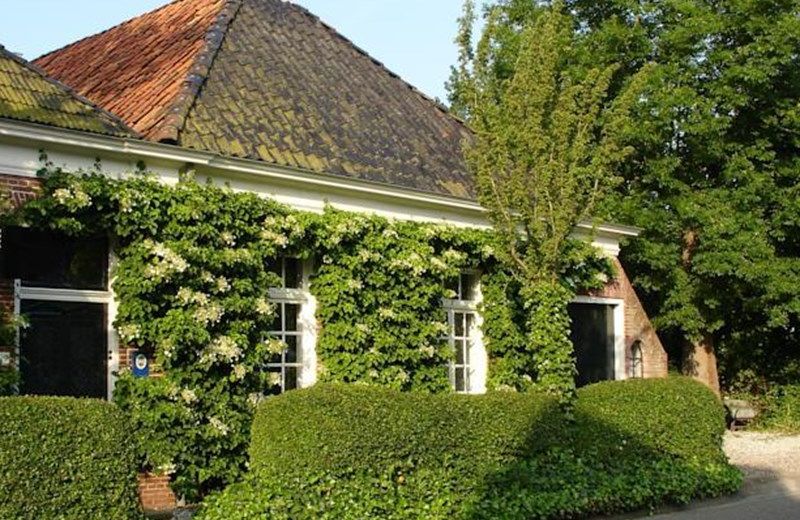 Galerie Jacoba Wijk & B+B Onder de Kastanjes