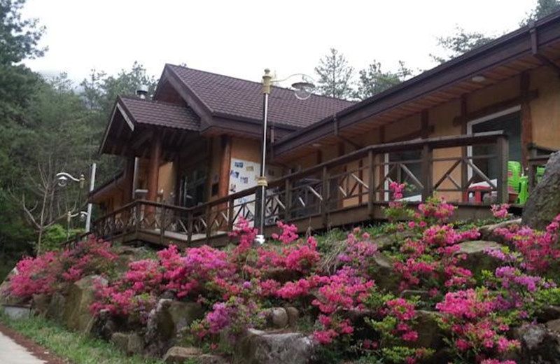 Aha Guesthouse