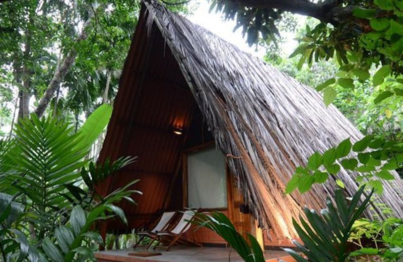Maachli Homestay