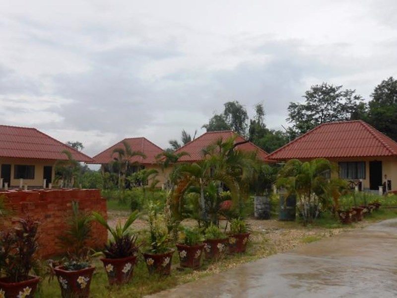Outdoor Pictures 1