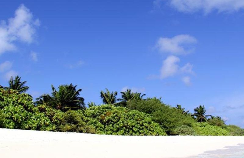 Sizam Reef View