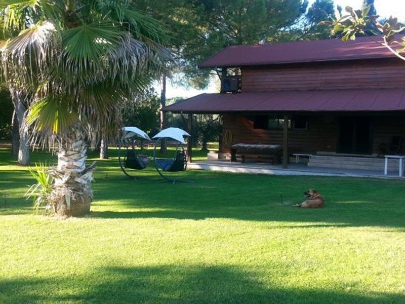 Outdoor Pictures 1