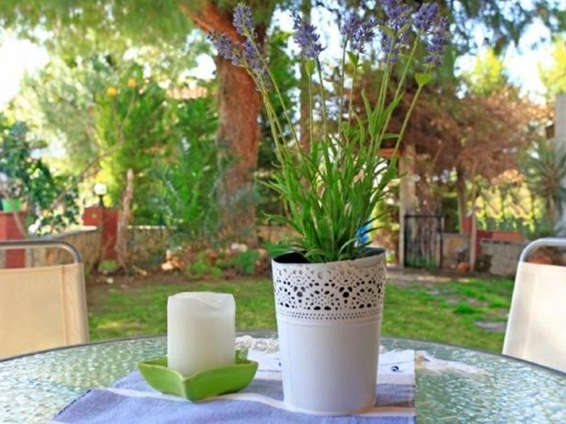 Outdoor Pictures 1