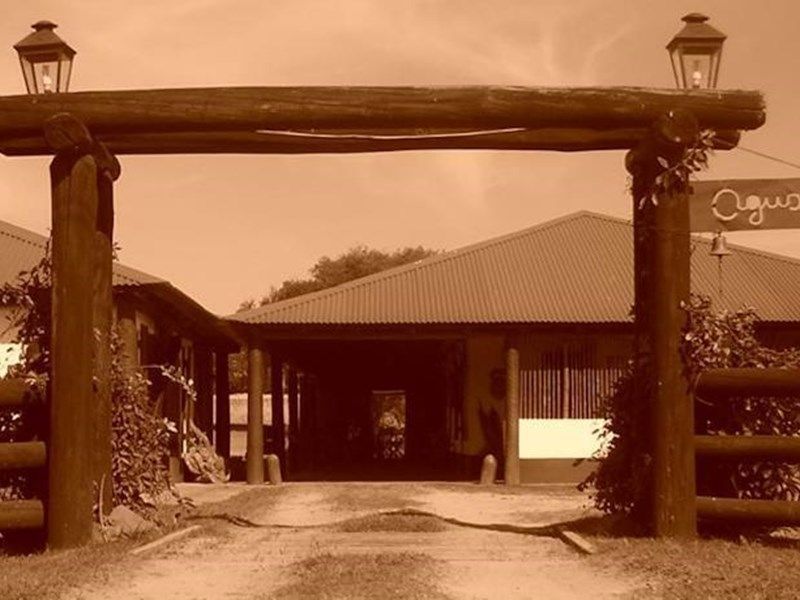 Outdoor Pictures 12
