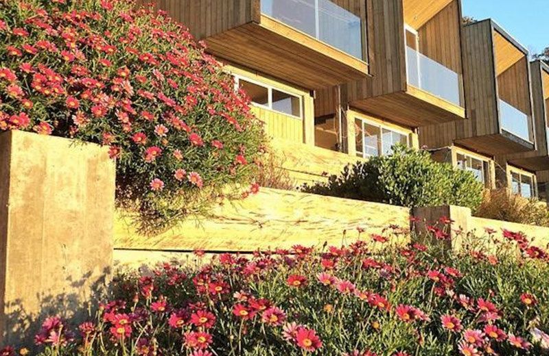 Lodge del Mar