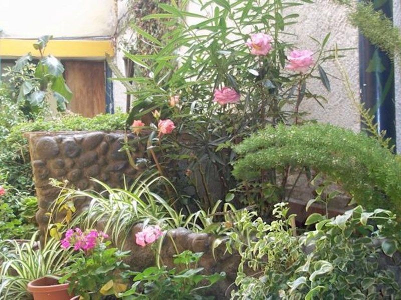 Outdoor Pictures 1