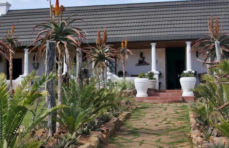 Reed Valley Inn (Amakhala GR)