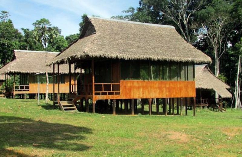 SONIDOS DE LA AMAZONIA