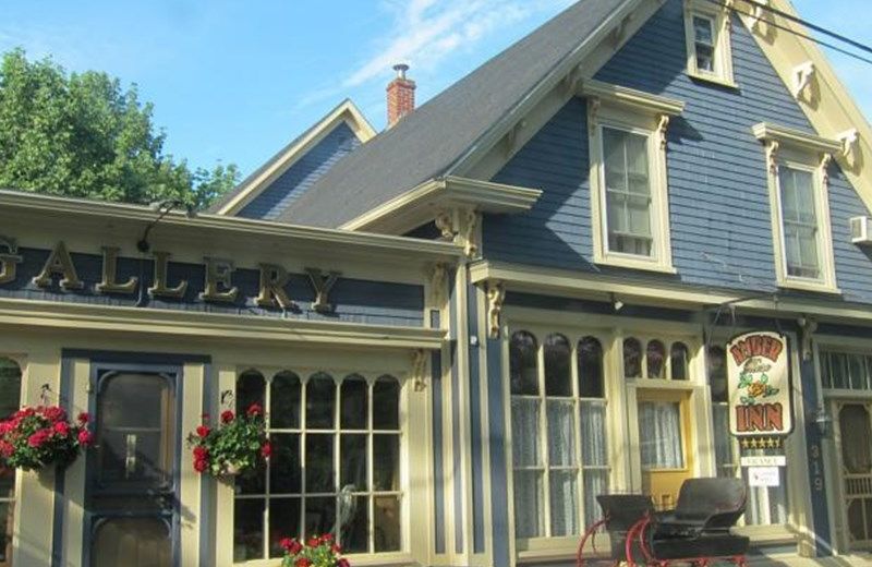 Amber Rose Inn