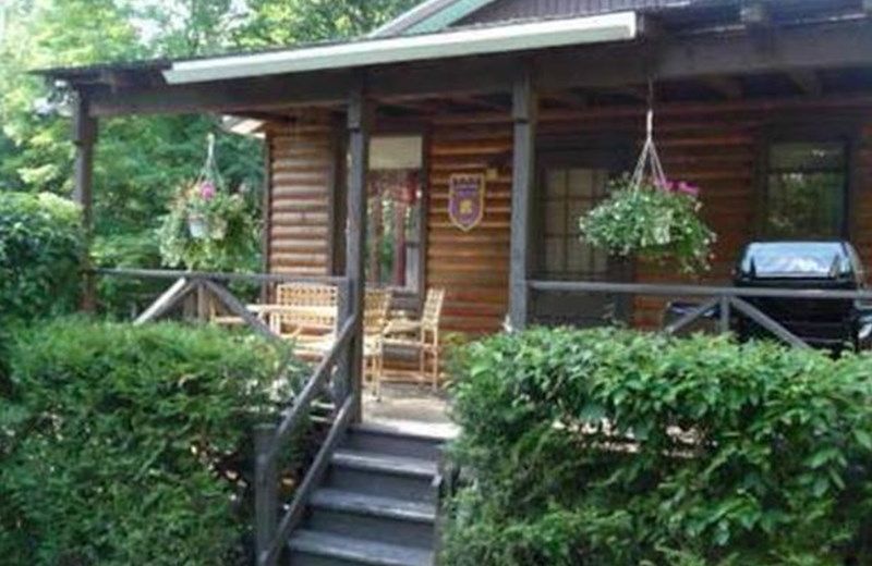 Chalet De L'Olivier