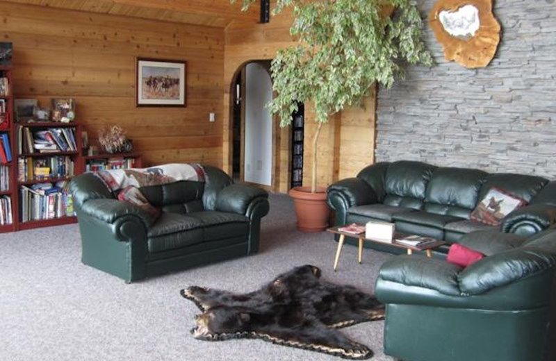Stone Mountain Safaris Bed and Breakfast