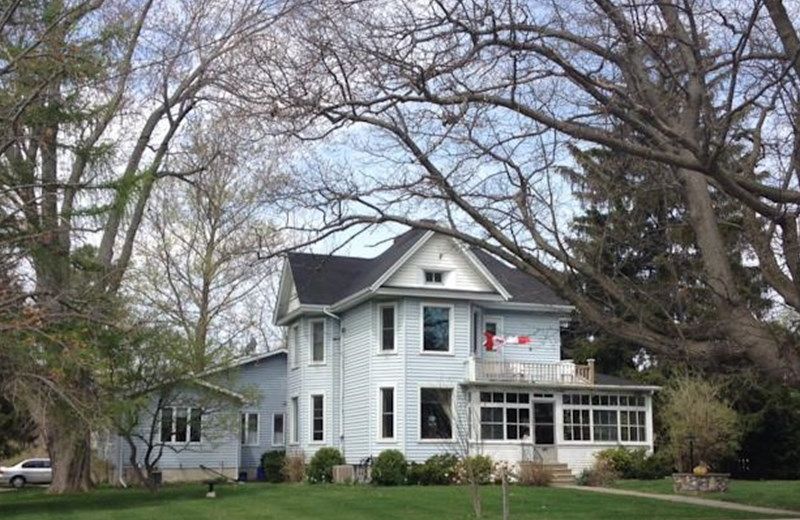 Blue Butterfly Bed and Breakfast