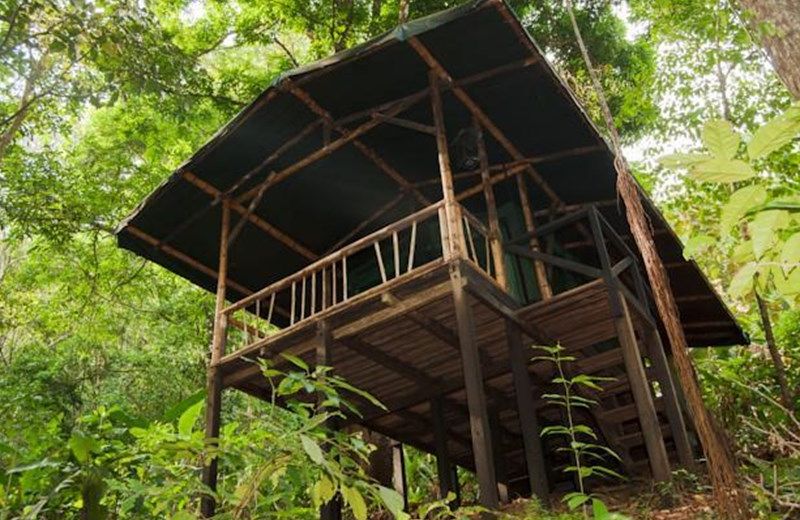 La Leona Eco Lodge