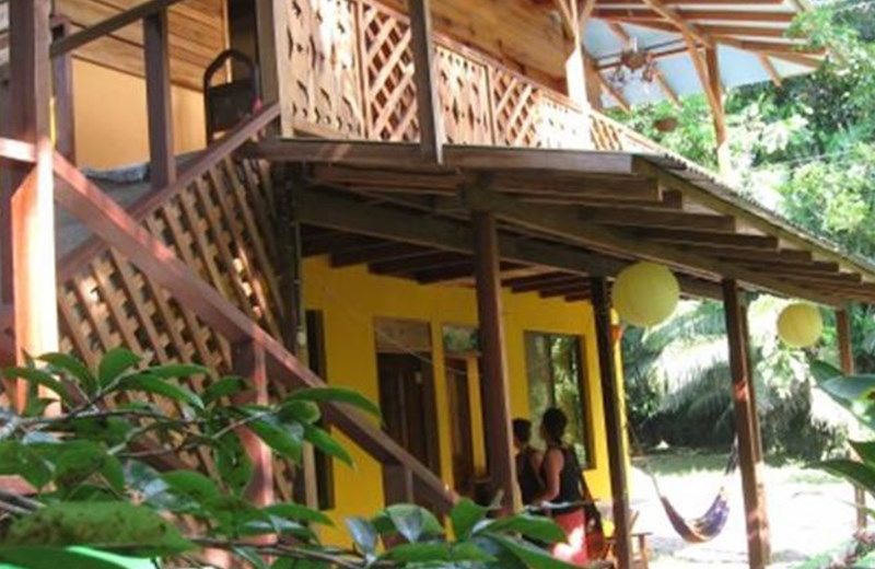 Cabinas Bucus