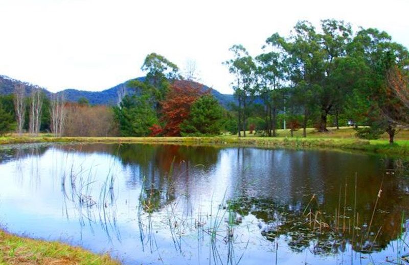 Sandy Creek Vineyard