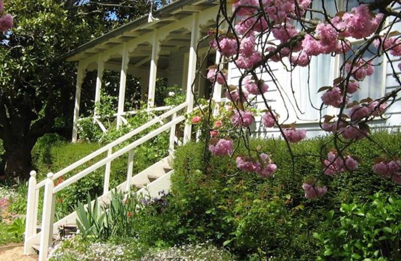 Huon Valley Bed & Breakfast