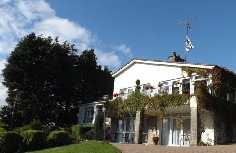 Clones 'Greenjoy - B&B