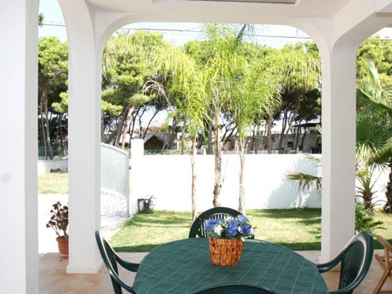 Outdoor Pictures 1