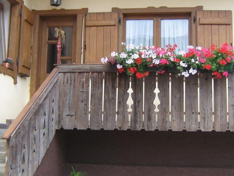 Outdoor Pictures 1