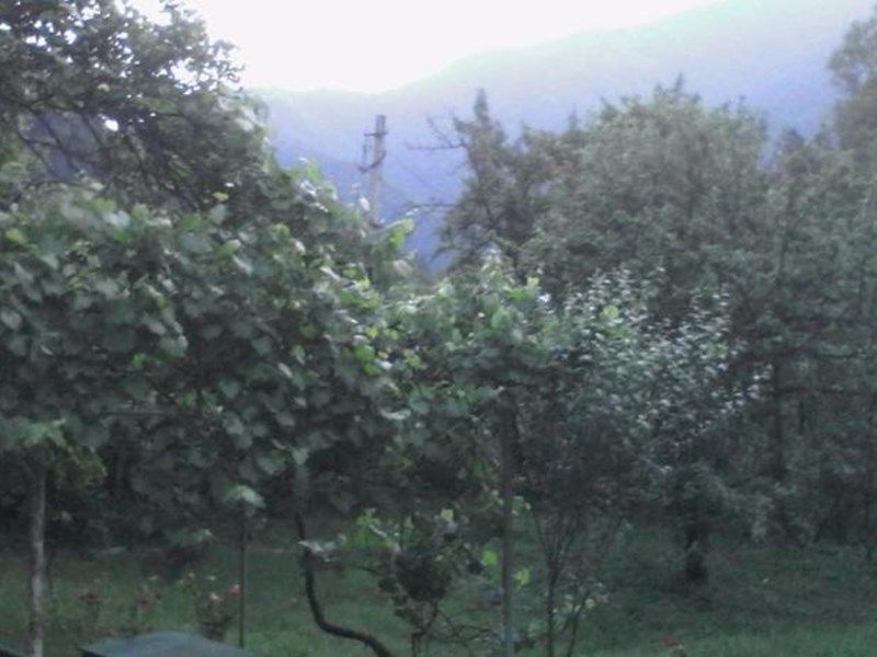 Outdoor Pictures 1
