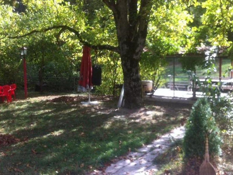 Outdoor Pictures 1