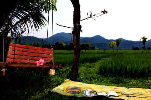 Outdoor Pictures 16
