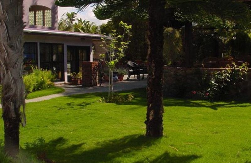 THE BLACK ORCHID BED AND BREAKFAST