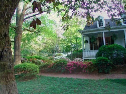 Outdoor Pictures 3
