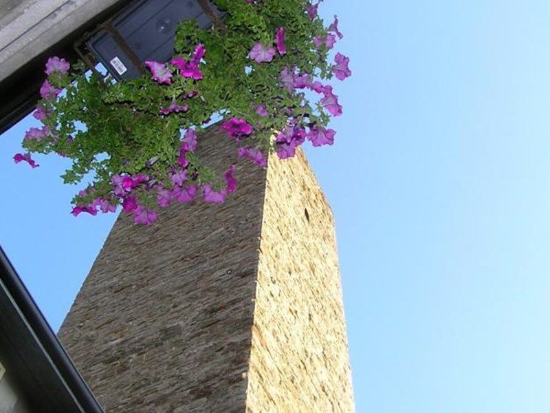 Outdoor Pictures 13