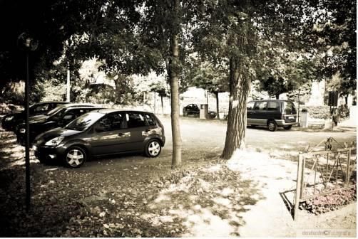 Outdoor Pictures 14