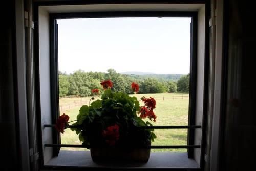 Outdoor Pictures 10