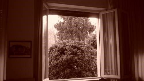 Outdoor Pictures 6