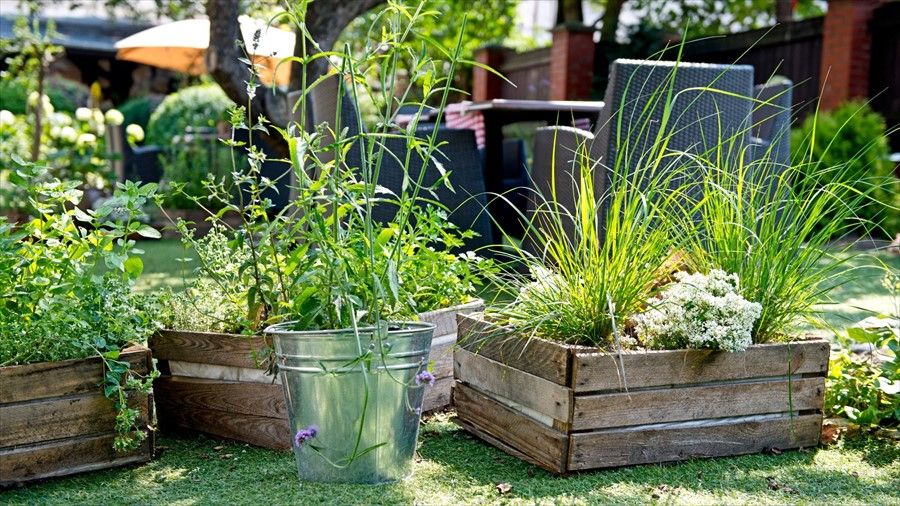 Outdoor Pictures 21