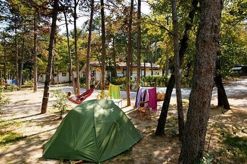 Outdoor Pictures 24